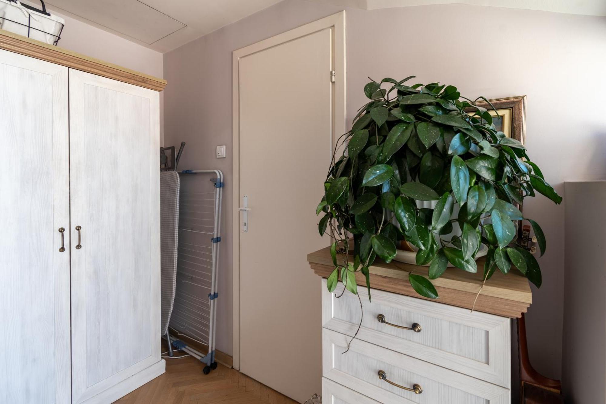 Klara Vracar 90 M2, Dve I Po Spavace Sobe 贝尔格莱德 外观 照片
